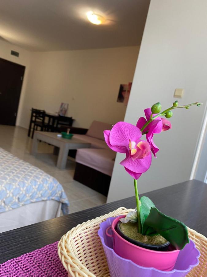 Cozy Apartment Saint Sofia サニービーチ エクステリア 写真